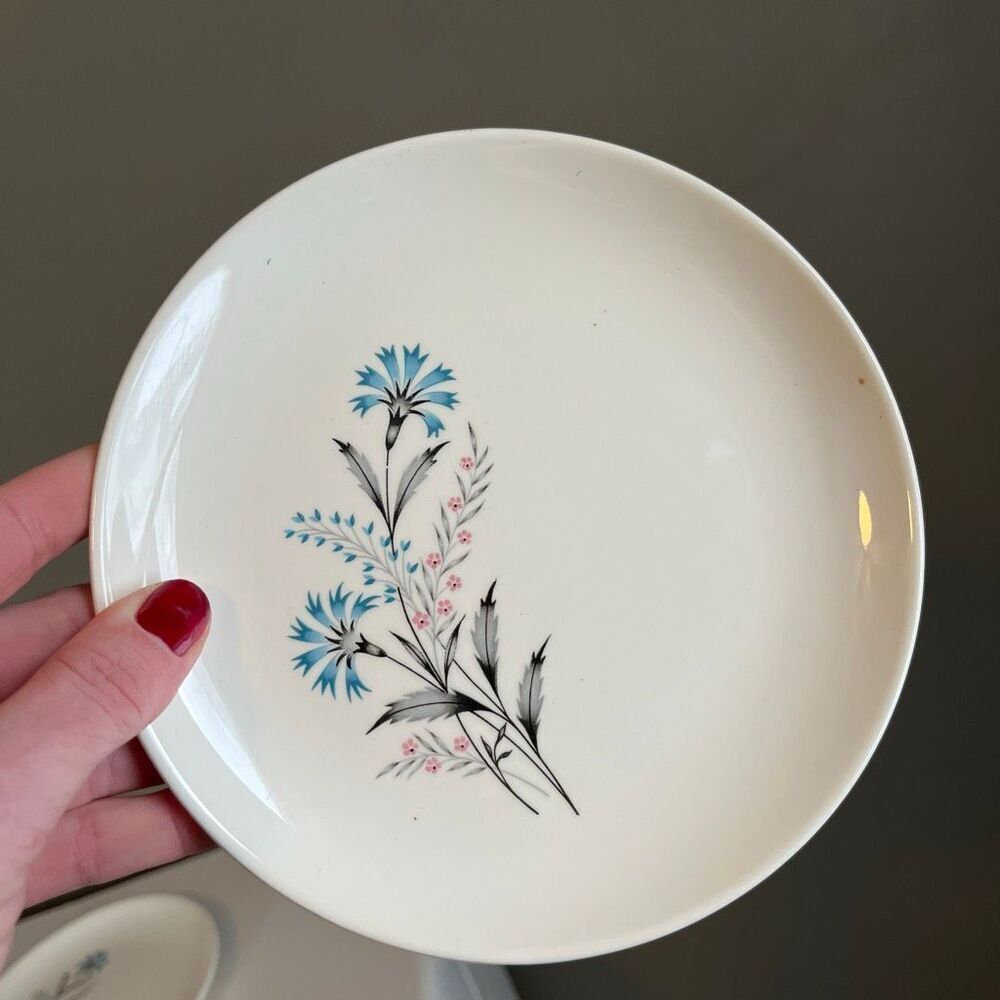 VTG Taylor Smith Bachelor Button 6.5" Plates Set 8 Mid Century MCM